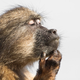 Illustration for article titled These Are the Most Spectacular Nature Photos of the Year